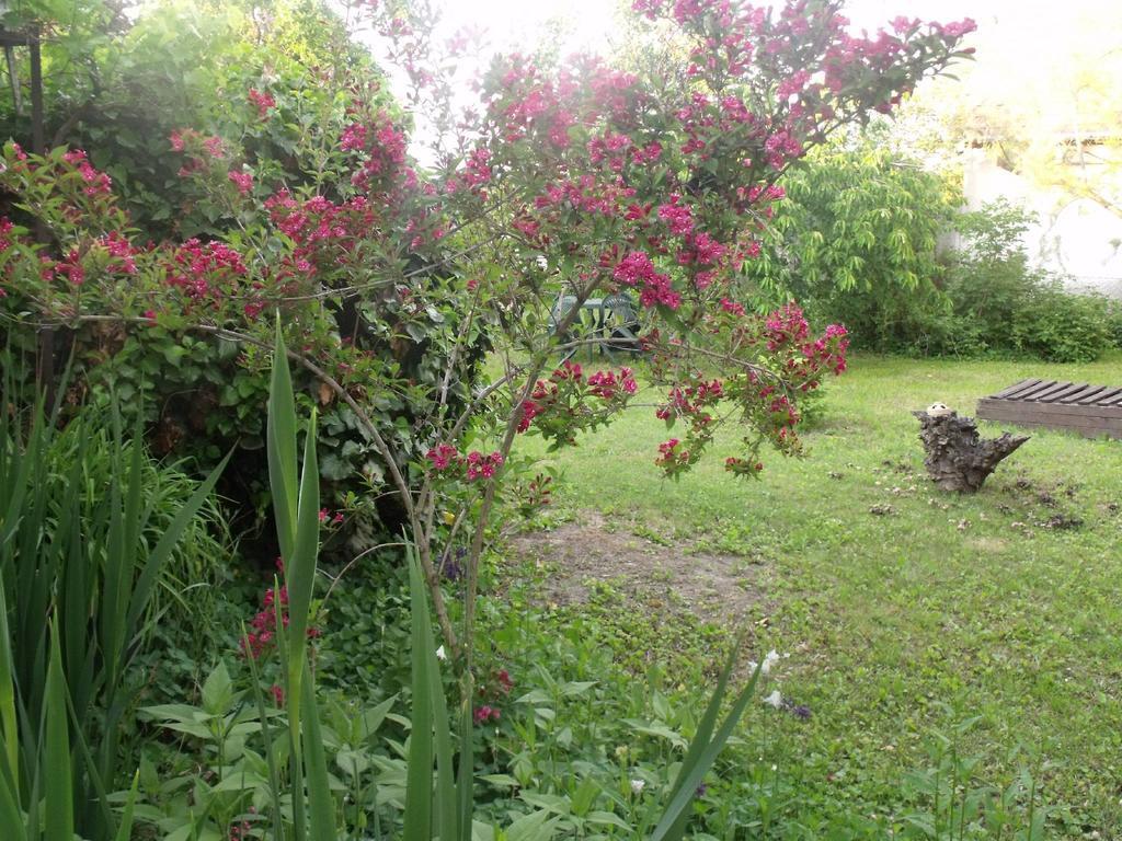 Kerekparos Es Zarandok Vendeghaz Villa Apostag Rom bilde