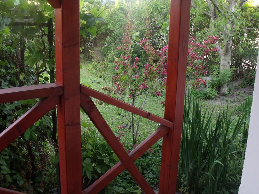 Kerekparos Es Zarandok Vendeghaz Villa Apostag Rom bilde